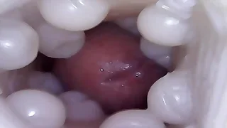 Gay Porn